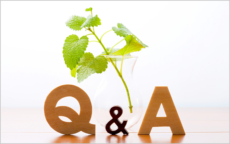 Q & A